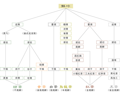 中国茶製造工程図