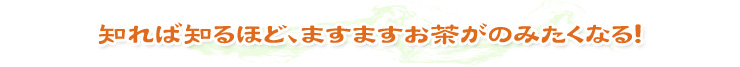 知れば知るほど、ますますお茶が飲みたくなる！